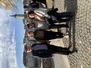 Sightseeing beim Stadtrundgang (24.10.2024)